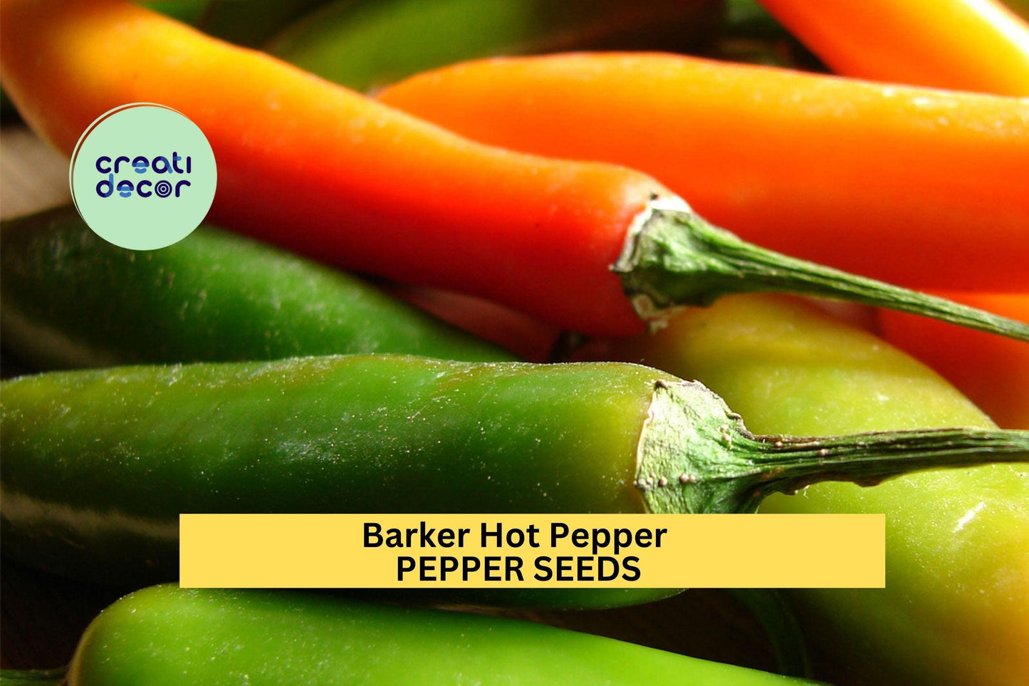 3pcs Barker Hot Pepper Seeds – Capsicum annuum, Fiery New Mexico Chile for Salsas, Drying, Roasting, Spicy Garden Harvest