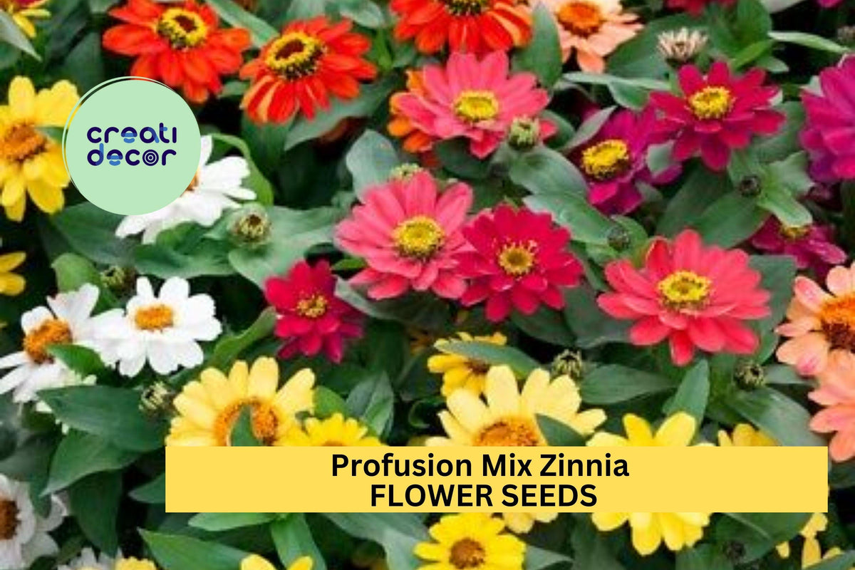 100+ Profusion Mix Zinnia Seeds – Bright Colorful Annual Flowers for Garden Beds & Borders – Zinnia hybrida