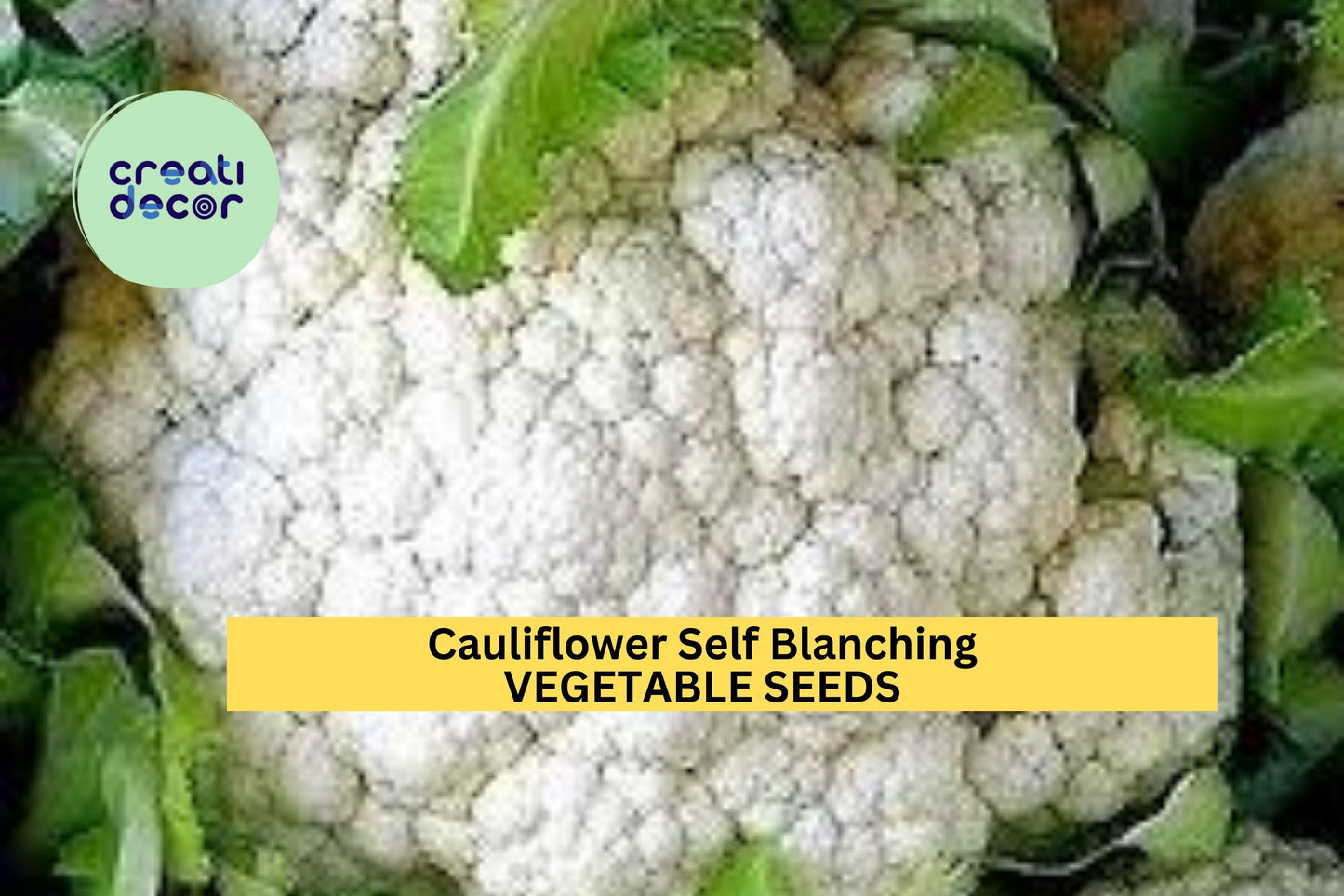 3pcs Cauliflower Self Blanching Seeds – Compact White Heads, Easy Grow Vegetable Seeds for Home Gardens – Brassica oleracea var. botrytis
