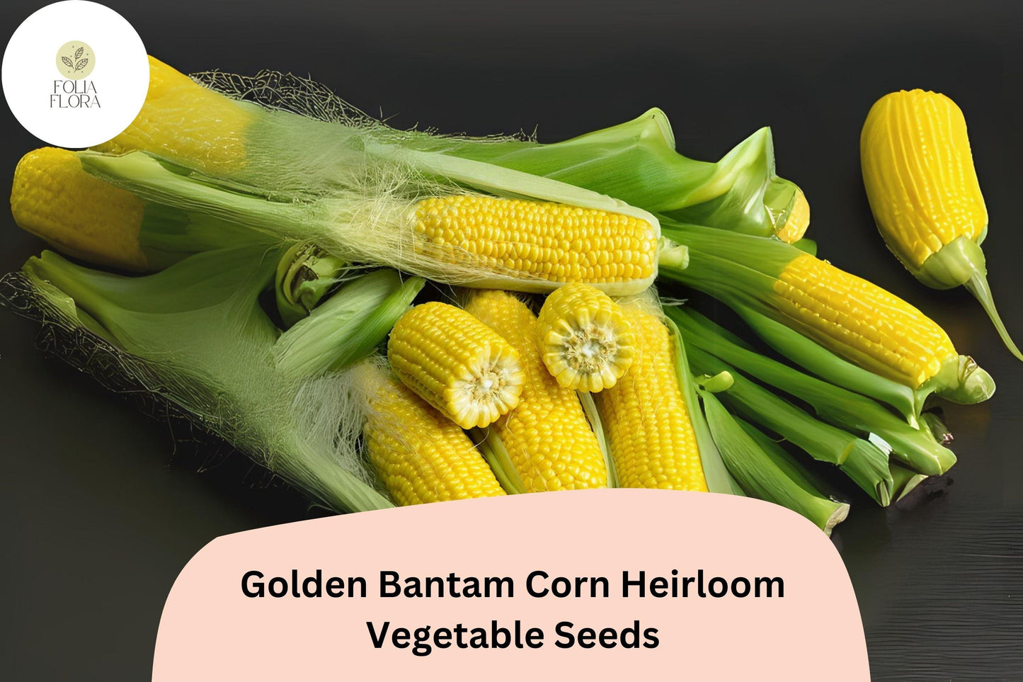 Golden Bantam Corn Seeds – Heirloom Sweet Corn for Garden, 50pcs Zea mays, Bright Yellow Kernels, Open-Pollinated