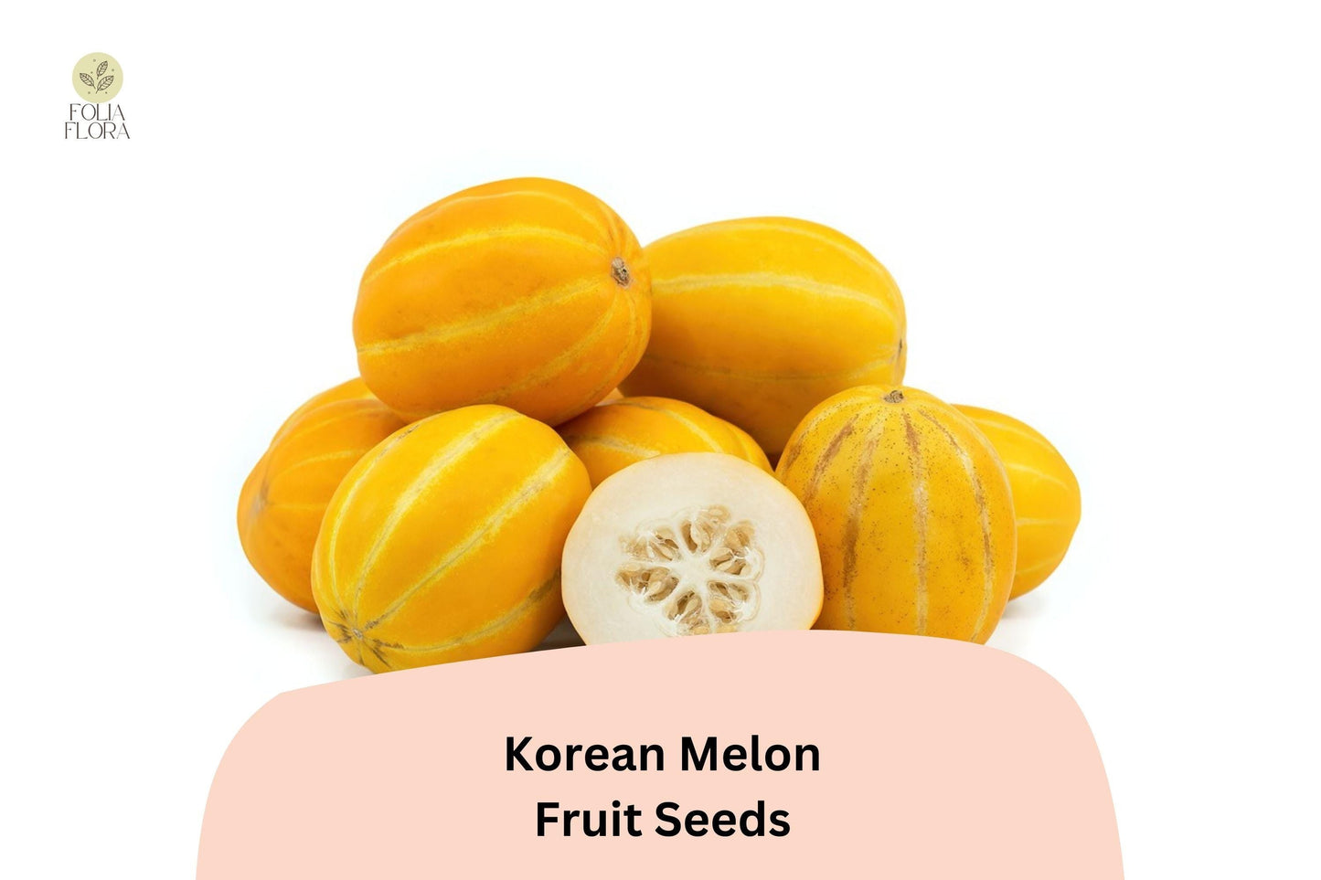 Korean Melon Seeds – Heirloom Asian Fruit, Sweet, Yellow-Striped, Cucumis melo var. makuwa, Annual Vine, 120+ Seeds