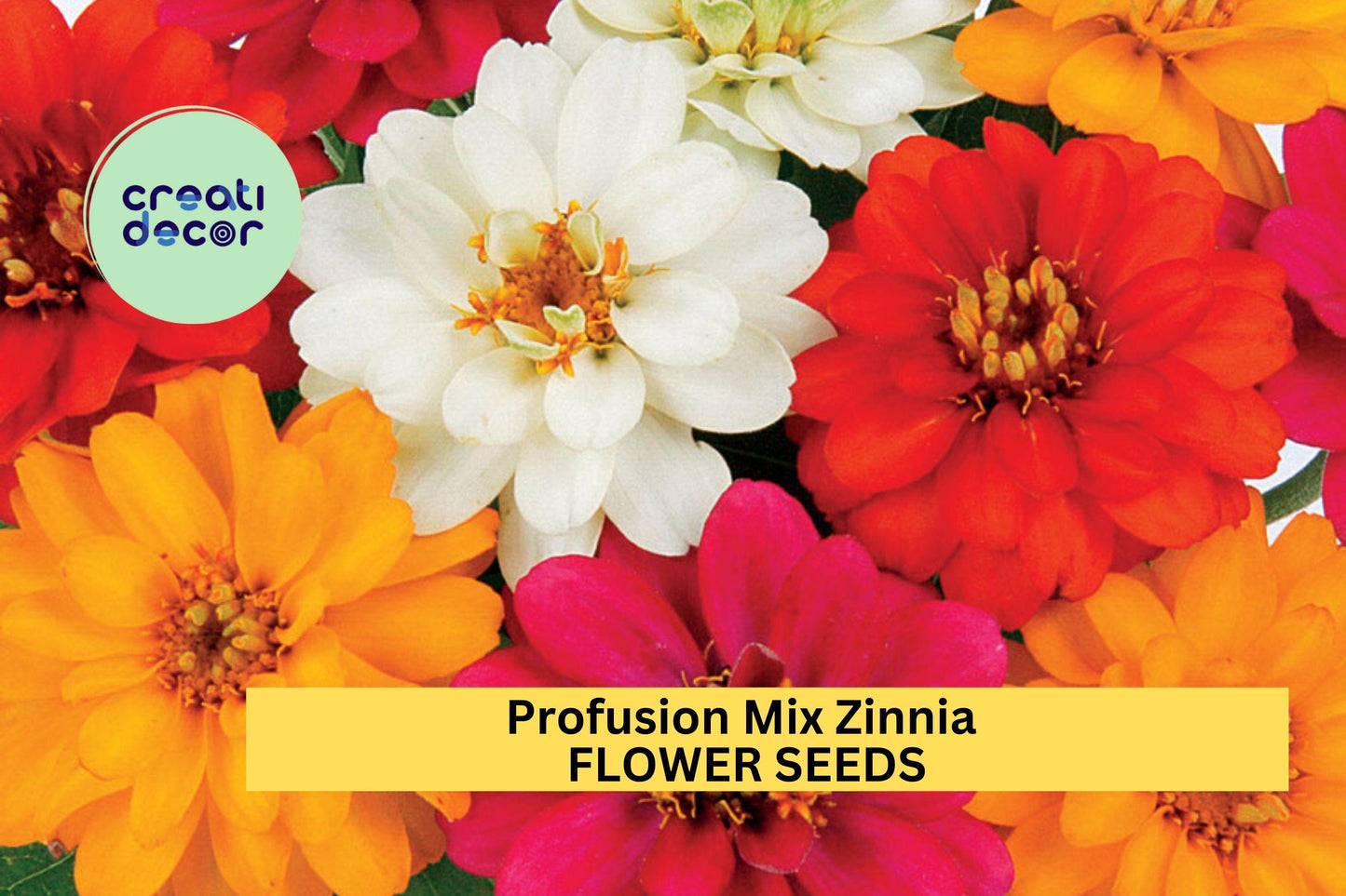 Profusion Mix Zinnia Seeds – 100+ Vibrant Blooming Annuals in Orange, Yellow, Coral, Cherry & White – Compact Garden Flowers for Beds & Bouquets