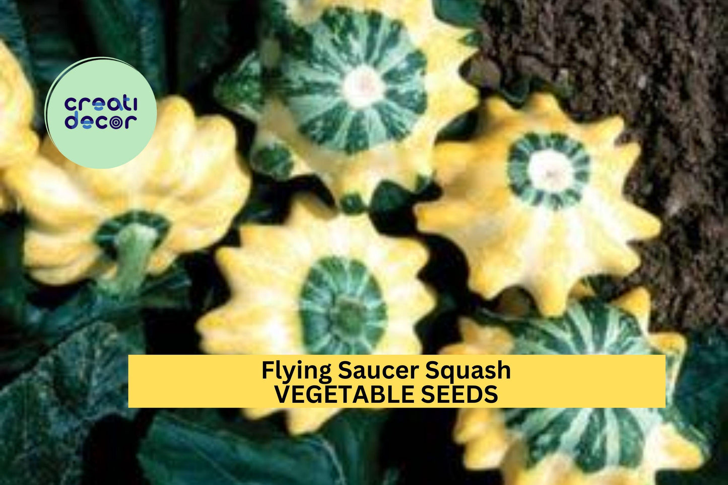 Flying Saucer Patty Pan Squash Seeds – Yellow-Striped Cucurbita pepo, 25+ Seeds for Summer Vegetable Garden, Edible & Decorative