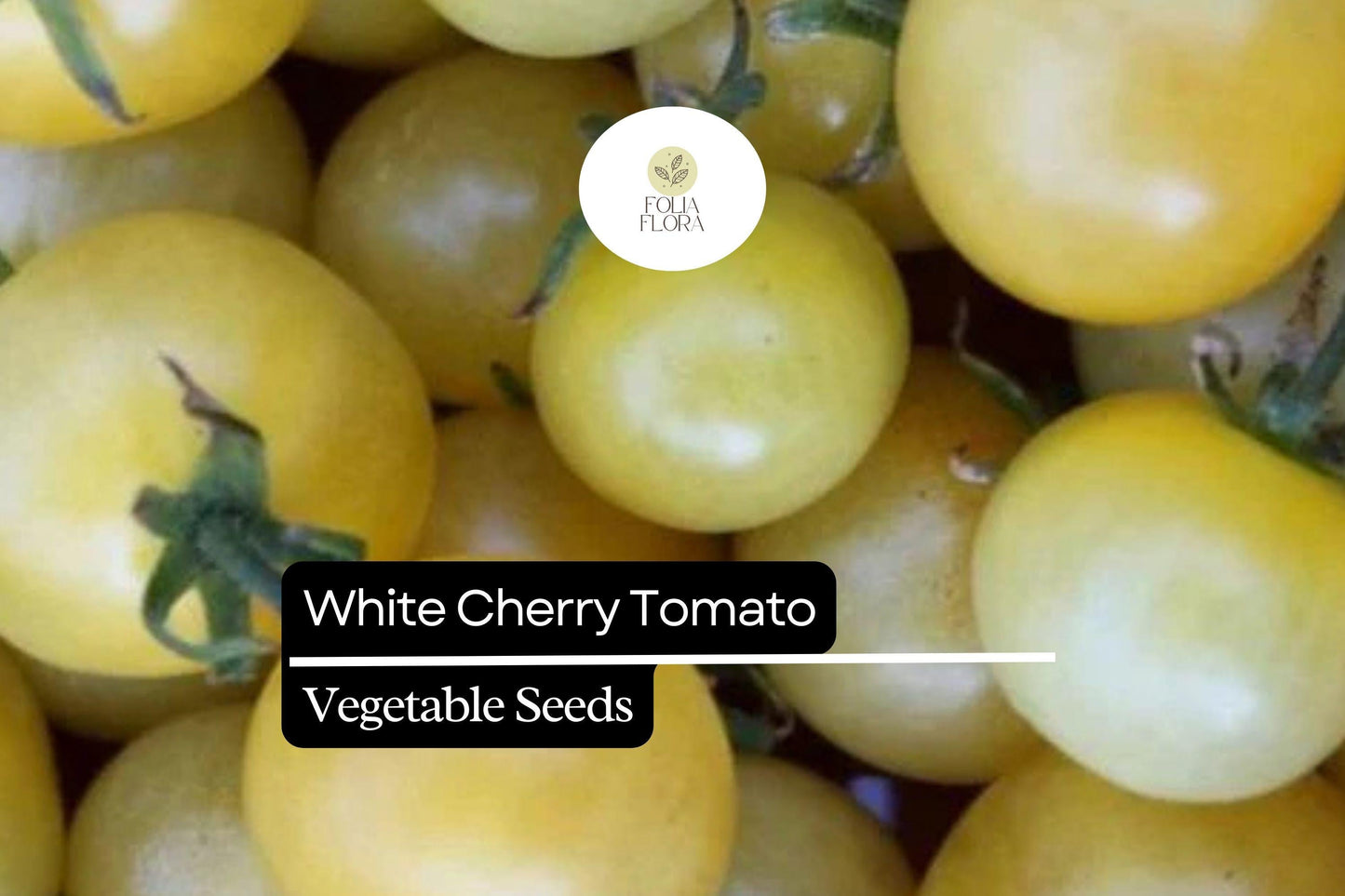 White Cherry Tomato Seeds – Heirloom Solanum Lycopersicum, 15 Seeds for Garden, Container, Salad, Snacking