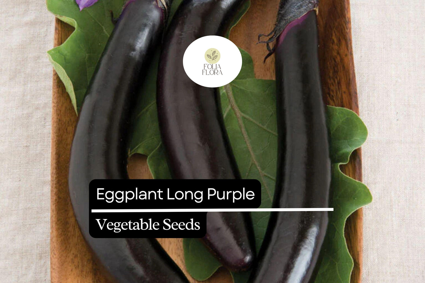 Long Purple Eggplant Seeds | Heirloom Non-GMO | Solanum melongena | 350 Seeds for Vegetable Garden & Containers