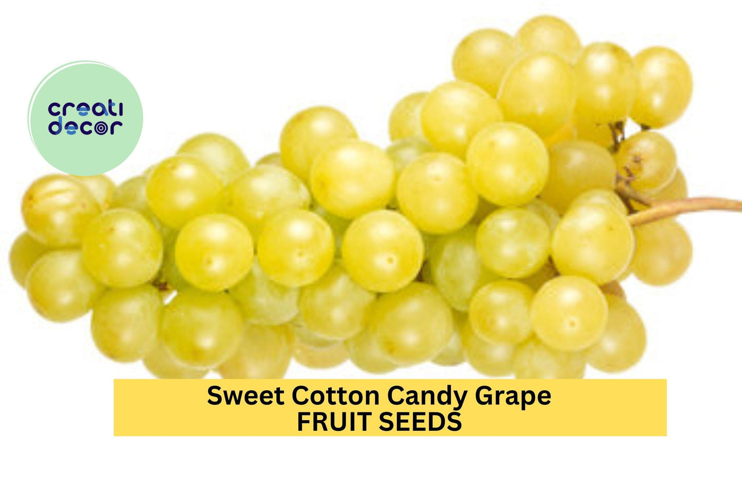 Cotton Candy Grape Seeds – 12 Rare Vitis vinifera Fruit Seeds for Home Garden, Sweet & Juicy Climbing Vine