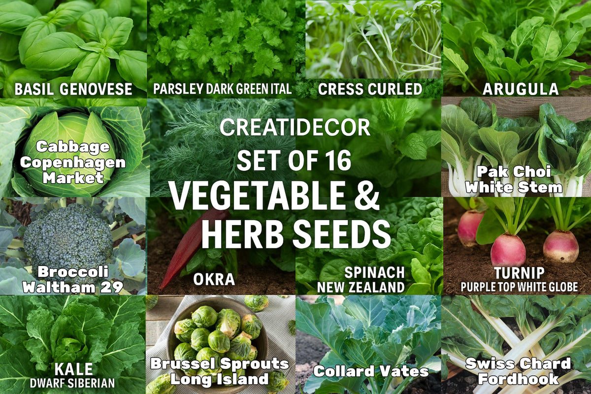 Set of 16 Vegetable & Herb Seeds Pack – Basil, Arugula, Kale, Broccoli, Cilantro, Okra, Spinach & More – Non-GMO, USA