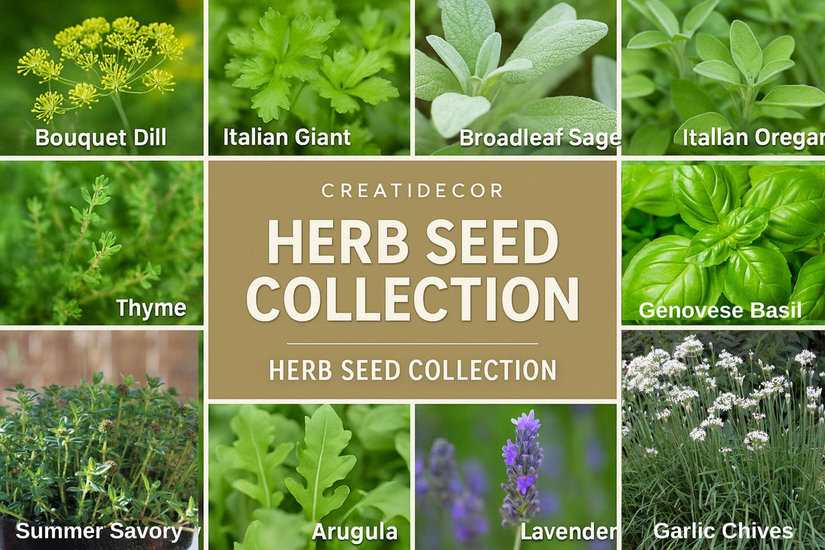 Herb Seed Set of 12 – Basil, Dill, Parsley, Lavender, Oregano, Cilantro & More – Culinary & Garden Herb Seeds for Kitchen & Outdoors