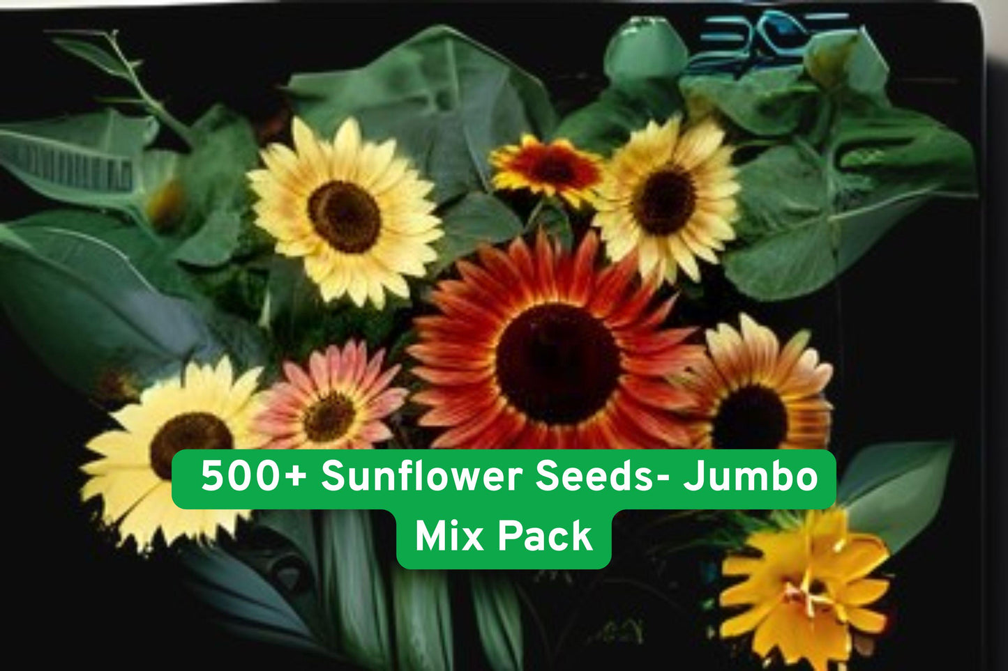 Mixed Sunflower Seeds Pack - 15+ Heirloom Varieties, Multicolor Helianthus annuus, Garden, Cut Flowers