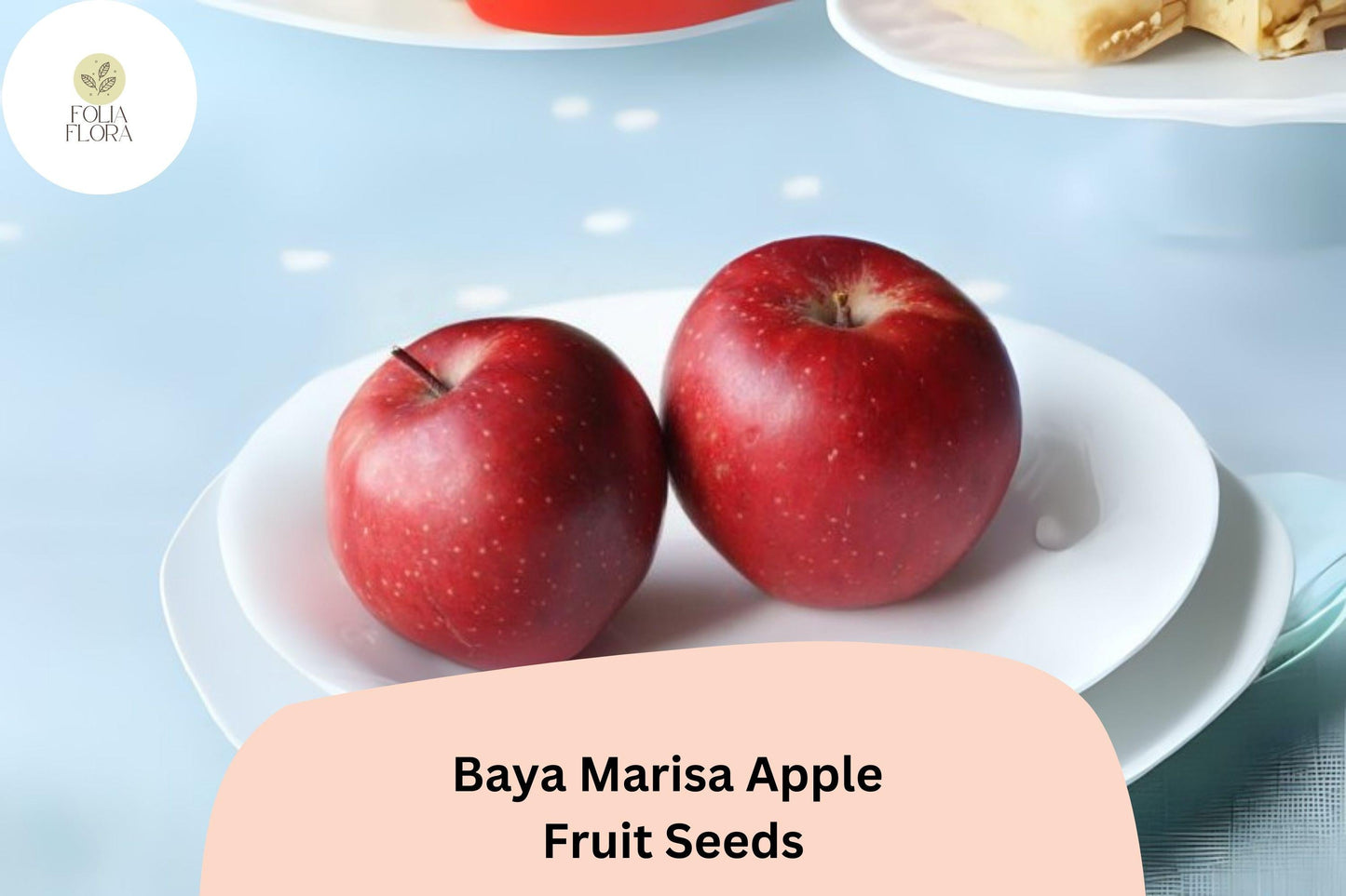 25+ Baya Marisa Apple Seeds – Red Flesh Fruit Tree, Sweet Crisp Apples, Malus domestica, Rare Variety for Planting