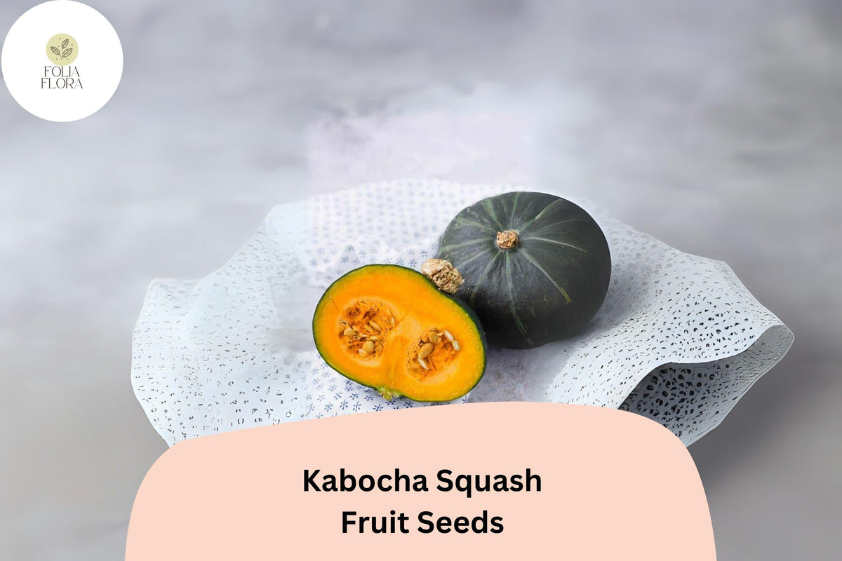 Kabocha Squash Seeds, Japanese Heirloom Cucurbita maxima for Roasting & Soup, Compact Vines, 25+ Seeds
