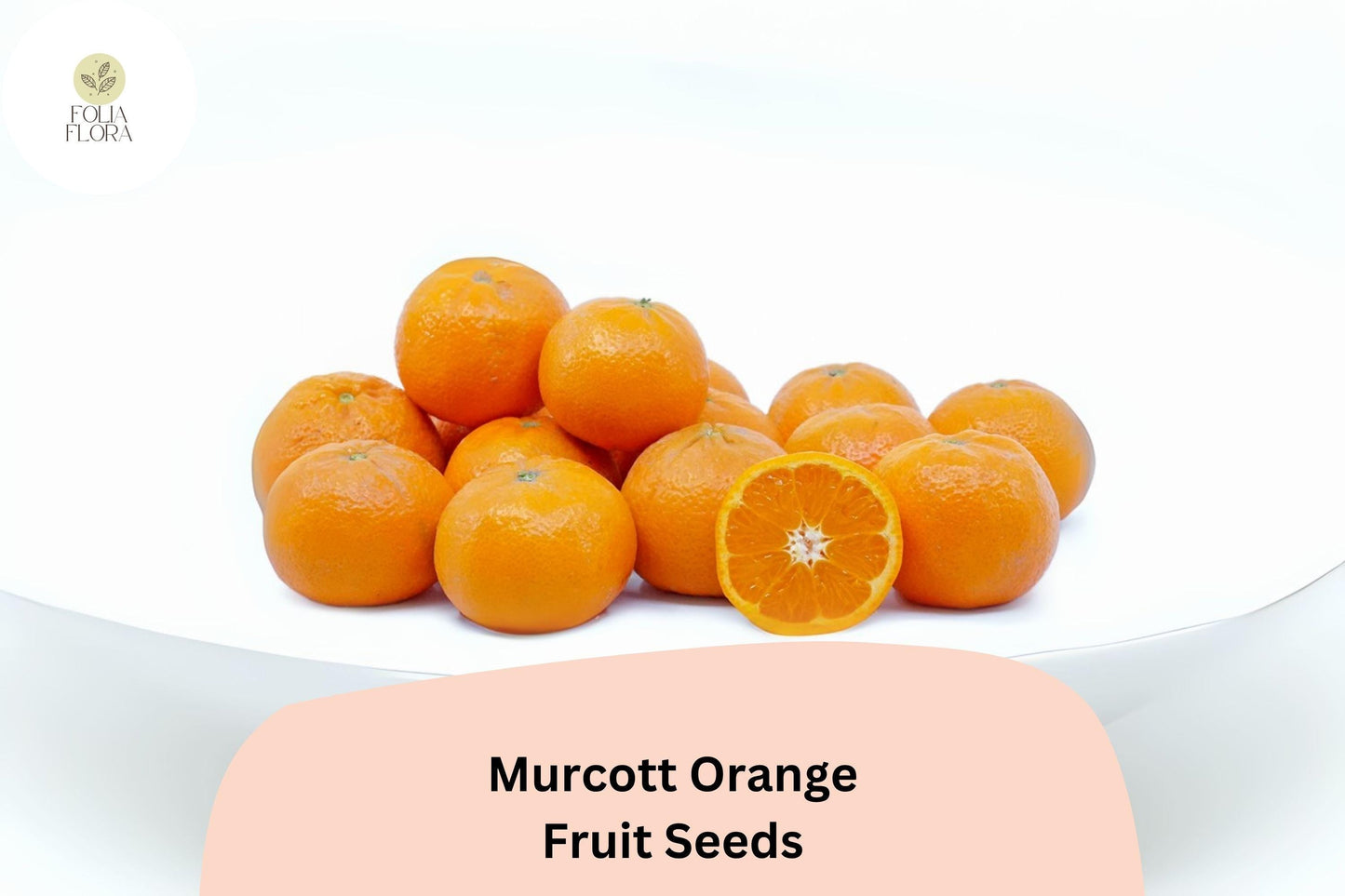 Murcott Orange Seeds | Citrus reticulata | Sweet Juicy Mandarins | Honey Tangerine Hybrid for Growing