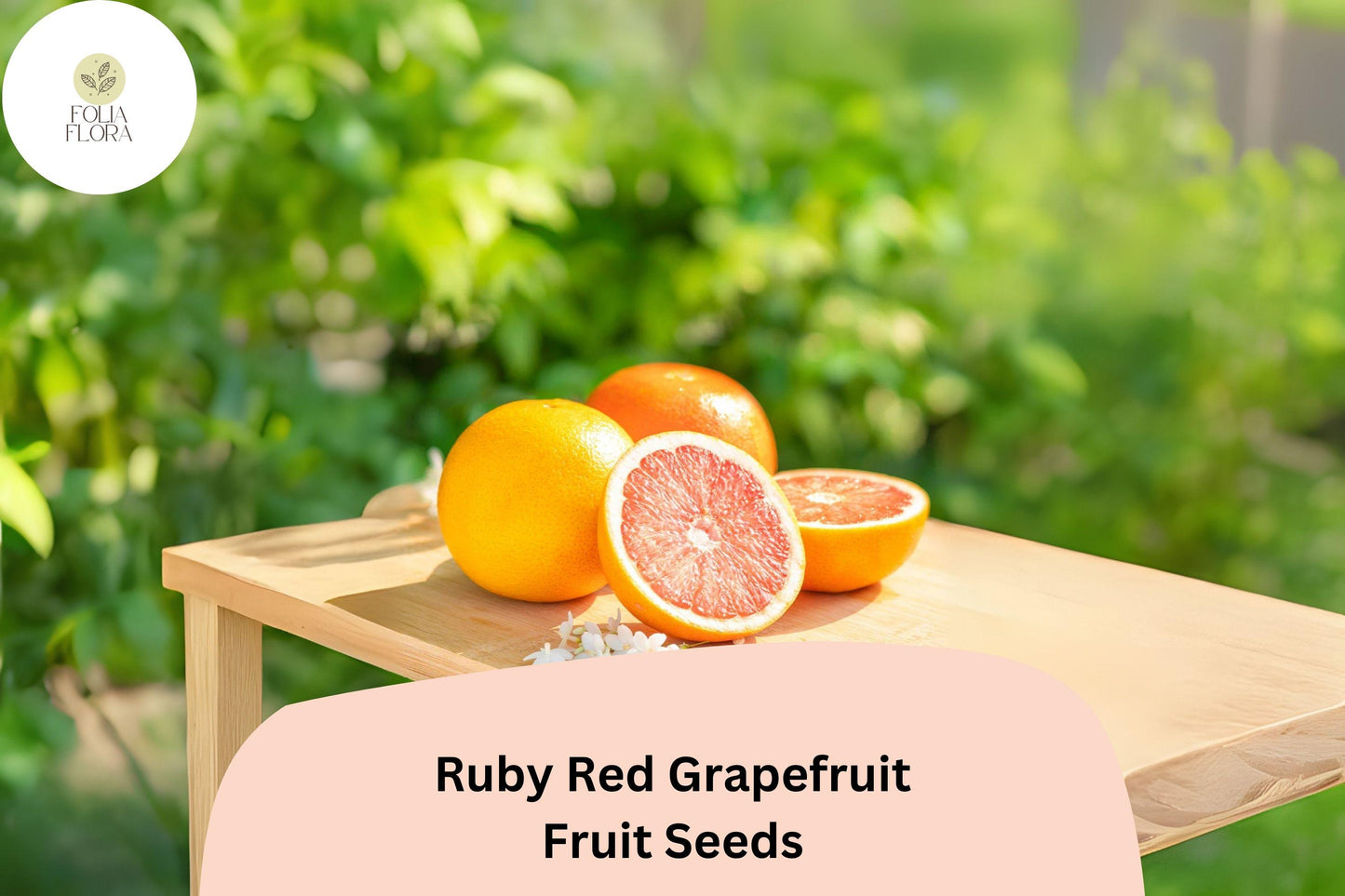 Ruby Red Grapefruit Seeds | Pink Fleshed Citrus Tree | Citrus × paradisi | Juicy, Sweet, Ornamental Plant