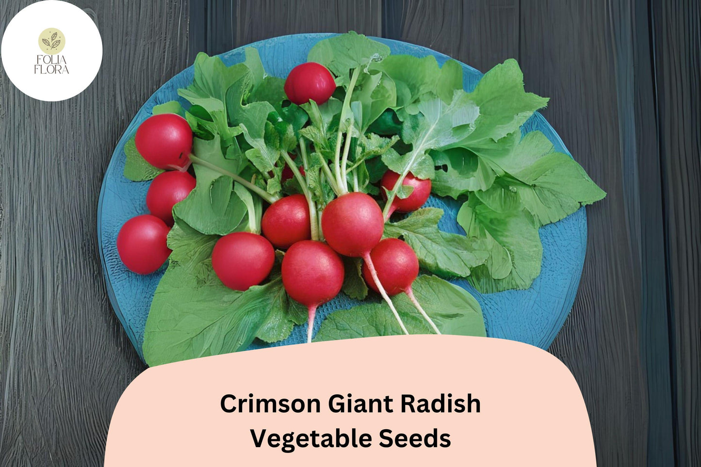Crimson Giant Radish Seeds | Large, Mild, Deep Red Roots | Raphanus sativus | Vegetable Garden Planting Pack of 500+
