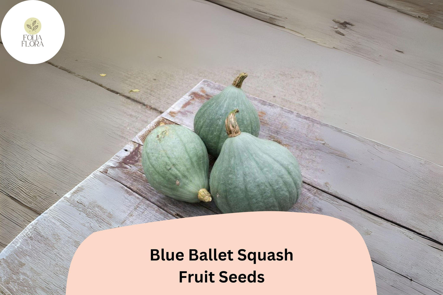 Blue Ballet Squash Seeds | Cucurbita maxima | Small Blue-Grey Winter Squash for Baking & Roasting, 25+ Seeds