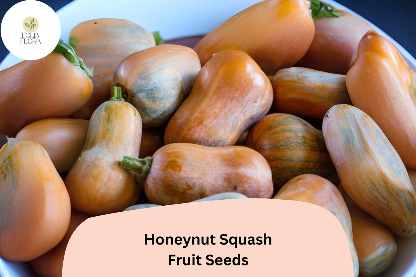 Honeynut Squash Seeds | Mini Butternut Winter Squash | Heirloom Cucurbita moschata for Garden & Container Planting