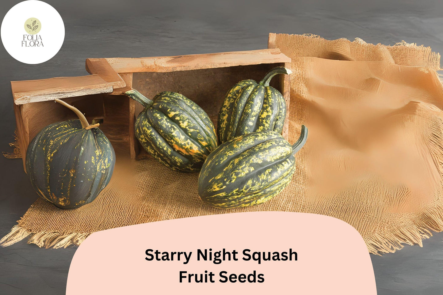 Starry Night Acorn Squash Seeds | Winter Squash Cucurbita pepo | Speckled Dark Green with Yellow Speckles