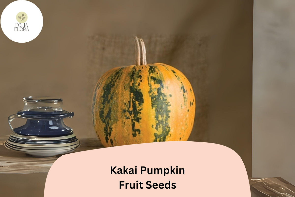 Kakai Pumpkin Seeds 25+ | Heirloom Hulless Variety for Roasting & Snacking | Cucurbita pepo