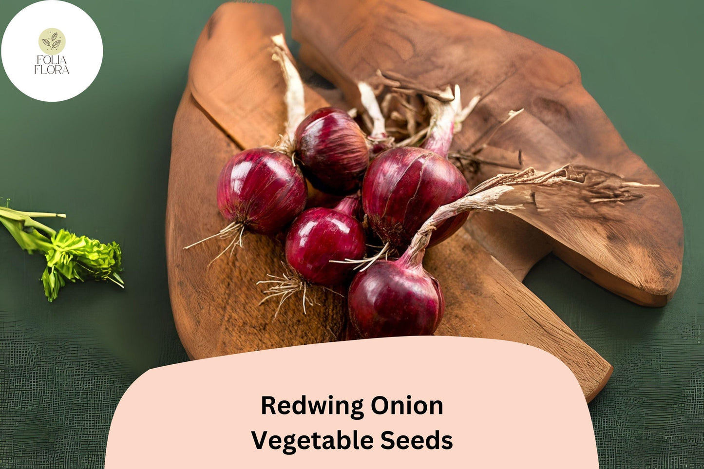 Redwing Onion Seeds – 500+ Allium cepa Deep Red Storage Onions for Cooking, Slicing & Salads