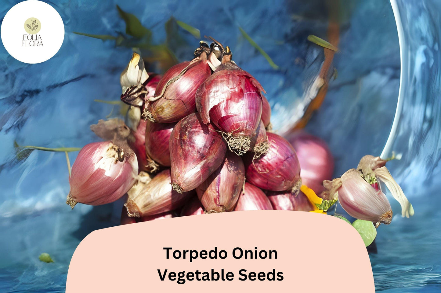 Torpedo Onion Seeds | Heirloom Italian Red Allium cepa | Elongated Red Onion for Salads & Cooking