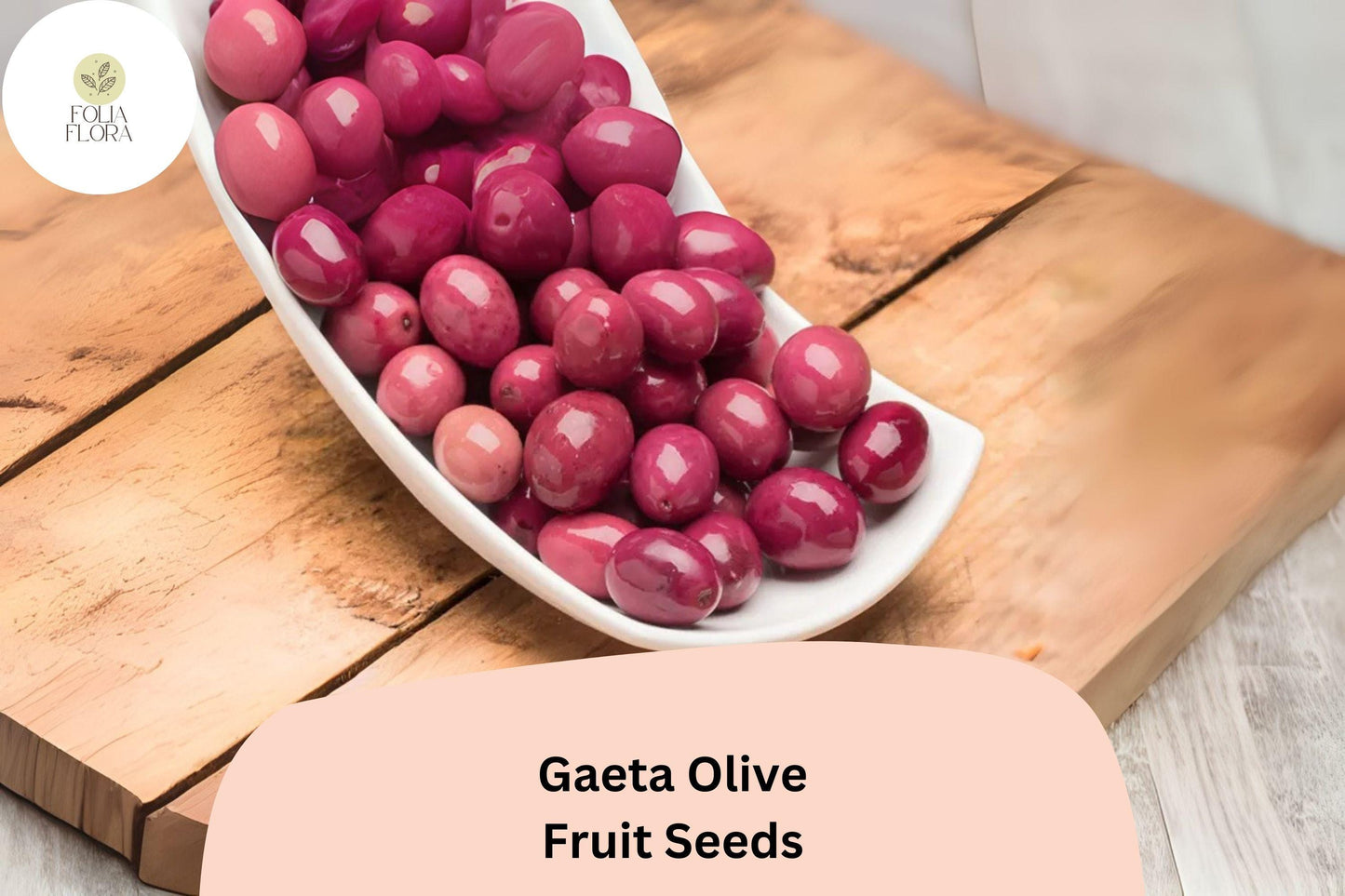 Gaeta Olive Tree Seeds | Olea europaea | Italian Black Olive | Mediterranean Evergreen Planting