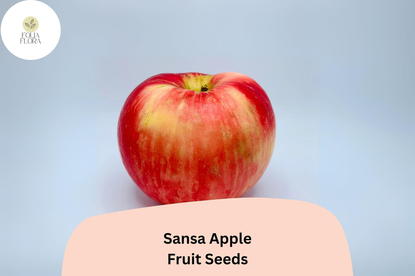 Sansa Apple Seeds 25+ | Early-Season Sweet Variety | Malus domestica | Juicy, Crisp, Red Blush