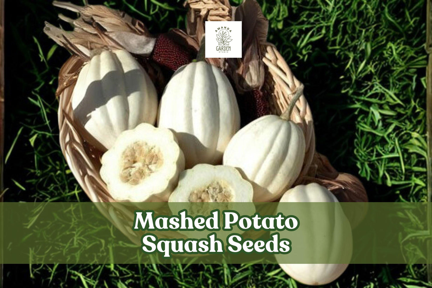 Mashed Potato Squash Seeds – White Gourmet Winter Cucurbita pepo – Vining, Easy to Grow, 10 Seeds