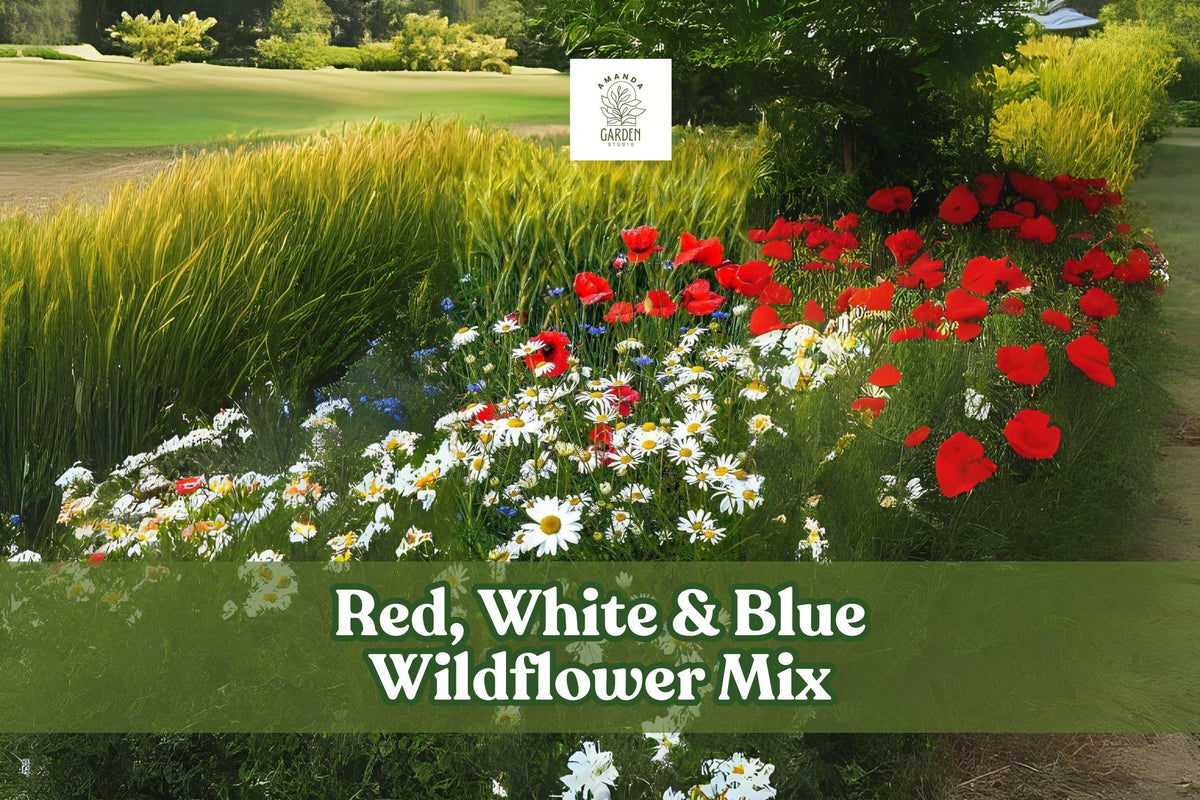 Red, White & Blue Wildflower Seed Mix – Patriotic Garden, 200 Seeds, Annual & Perennial, Attracts Pollinators, Full Sun