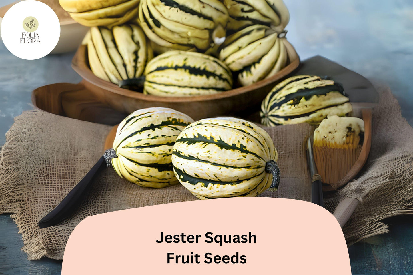 25+ Jester Squash Seeds | Striped Acorn-Delicata Hybrid Winter Squash Cucurbita pepo