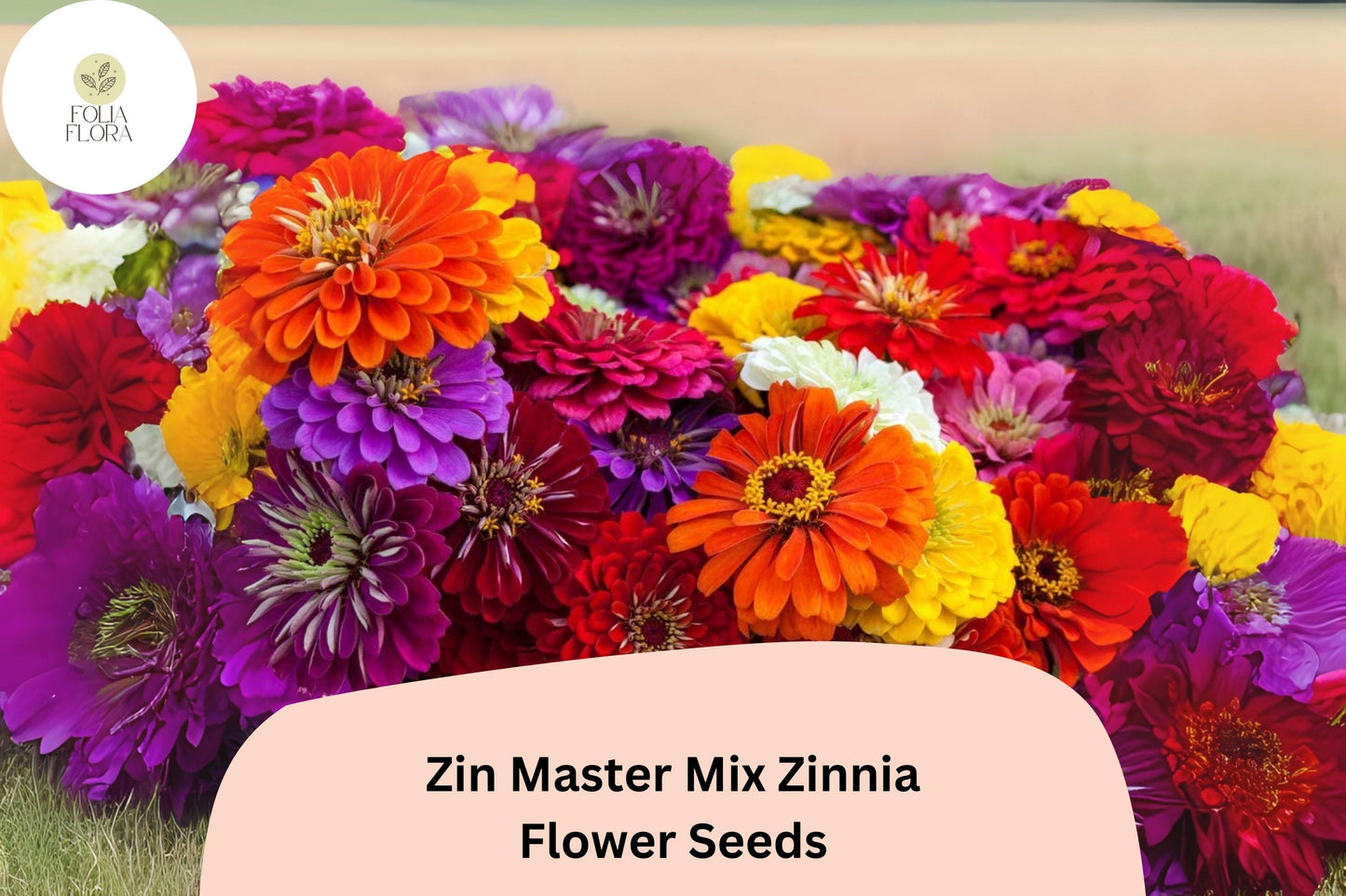 Zinnia Seeds - Heirloom Non-GMO Zin Master Mix - Bright Rainbow Colors - Zinnia elegans - Flower Seeds for Garden & Cut Flowers