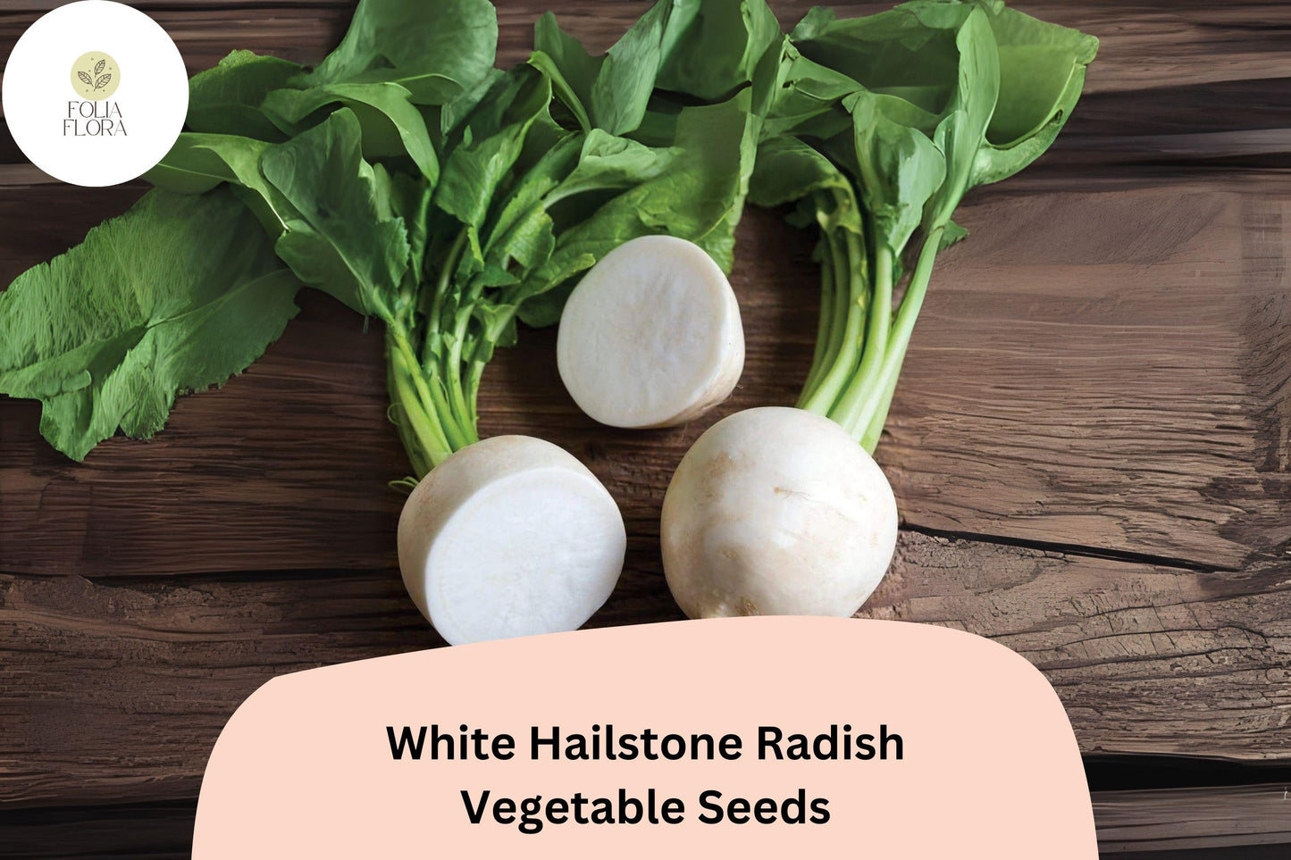 White Hailstone Radish Seeds – Heirloom, Non-GMO, Round White Radish, Raphanus sativus, 500+