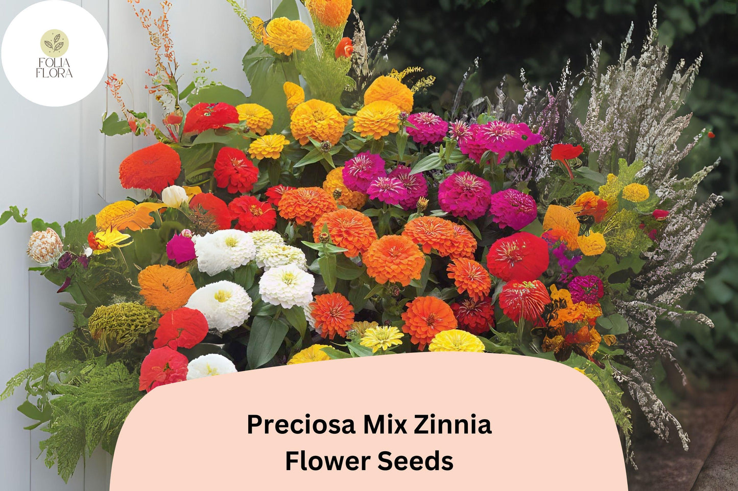 Preciosa Mix Zinnia Seeds | Colorful Annual Flowers for Garden, Borders & Bouquets | Zinnia elegans