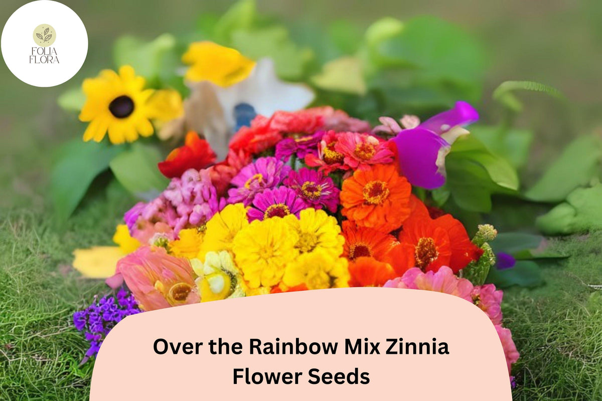 Over the Rainbow Mix Zinnia Seeds – 100+ Colorful Annual Flower Seeds for Garden Beds, Borders & Cut Flowers, Zinnia elegans