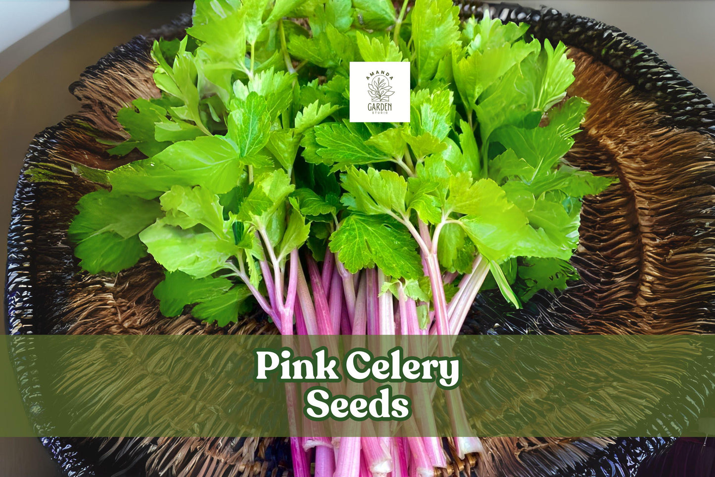 Pink Celery Seeds – Non-GMO Heirloom Apium graveolens for Vegetable Garden, Container Planting