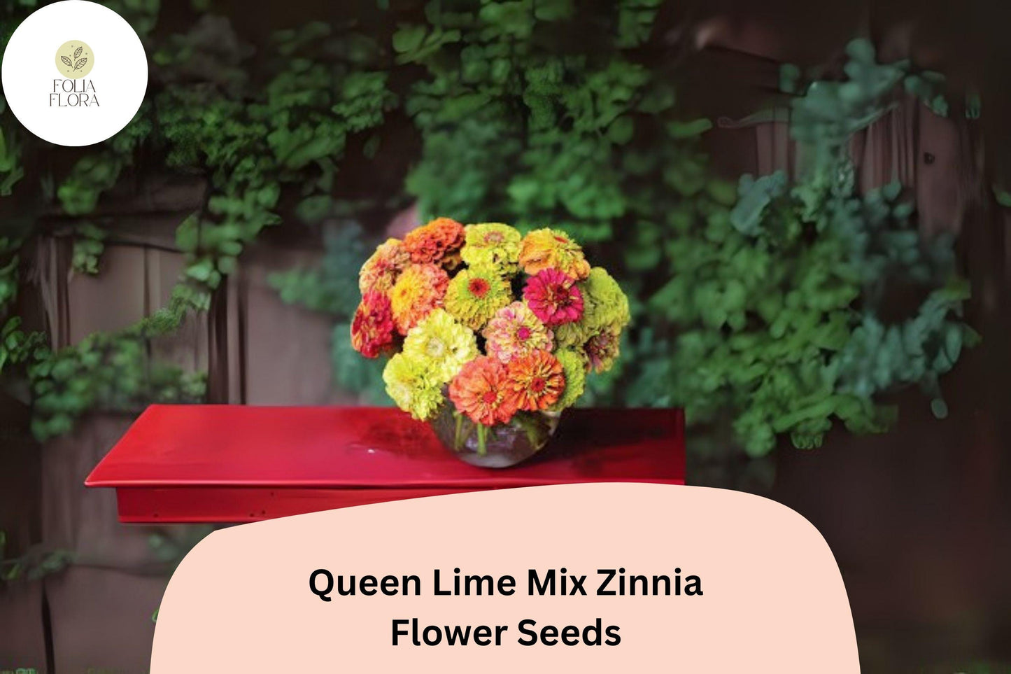 Queen Lime Mix Zinnia Seeds – Red, Peach & Green Blooms, Non-GMO, Pollinator-Friendly, Annual for Beds & Bouquets