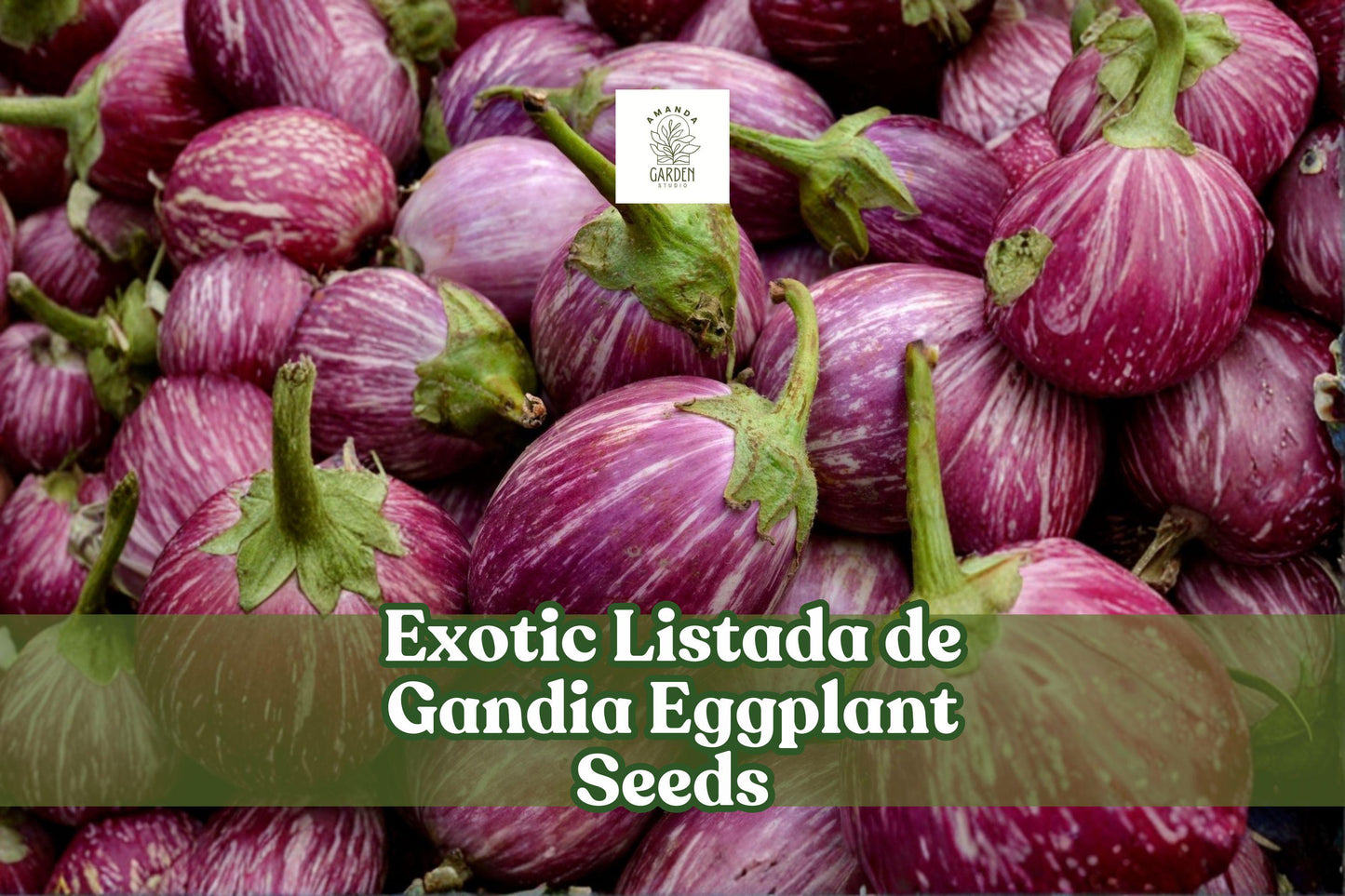 Listada de Gandia Eggplant Seeds | Heirloom Striped Aubergine | Solanum melongena | 50+ Seeds