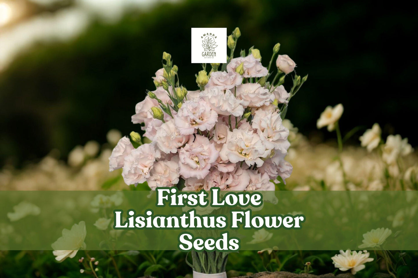 First Love Lisianthus Seeds – Soft Pink Eustoma Grandiflorum Pelleted Seeds for Garden, Bouquet & Floral Arrangements