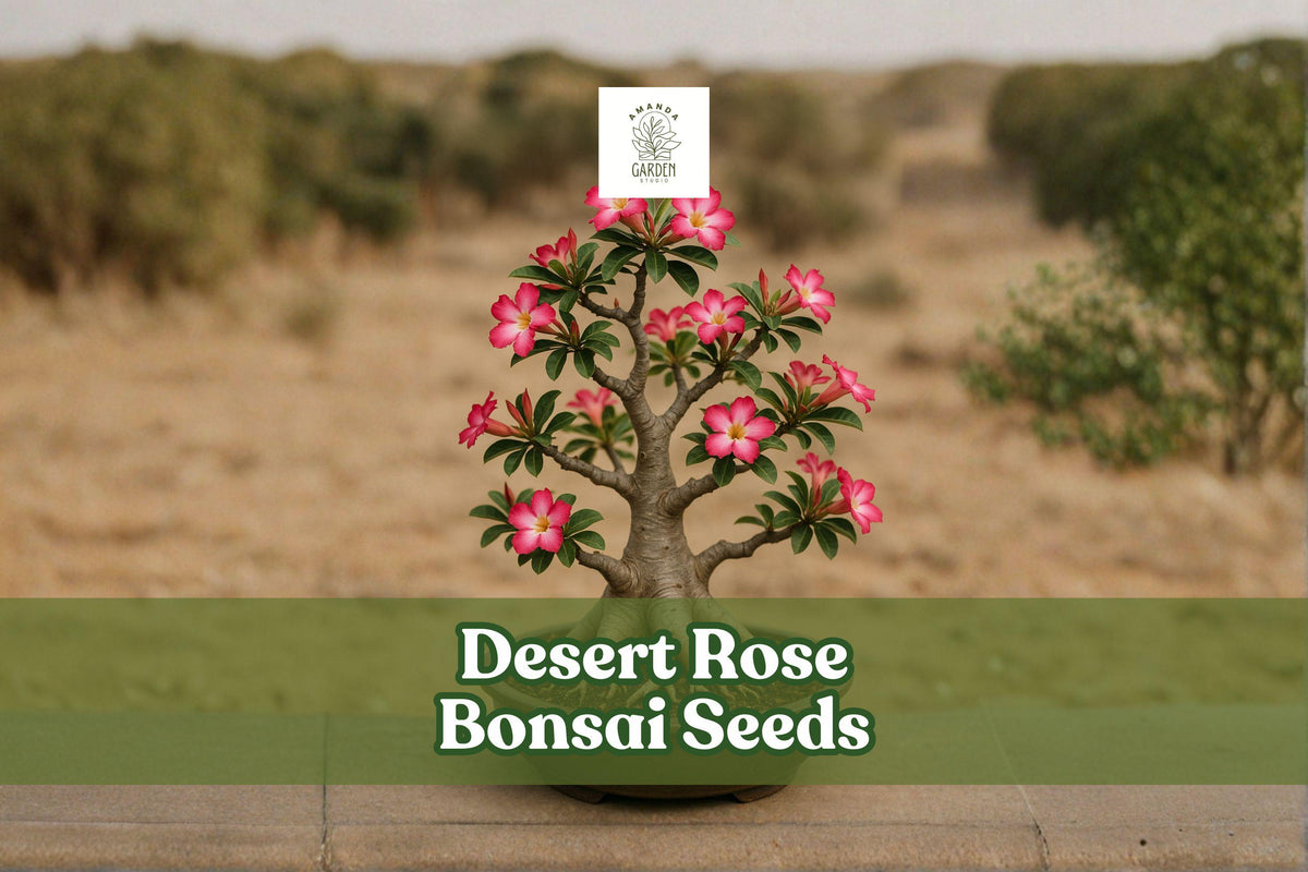 Desert Rose Bonsai Seeds – Adenium Obesum, Multicolor Flowers, Succulent Tree, Drought Tolerant, 10 Seeds