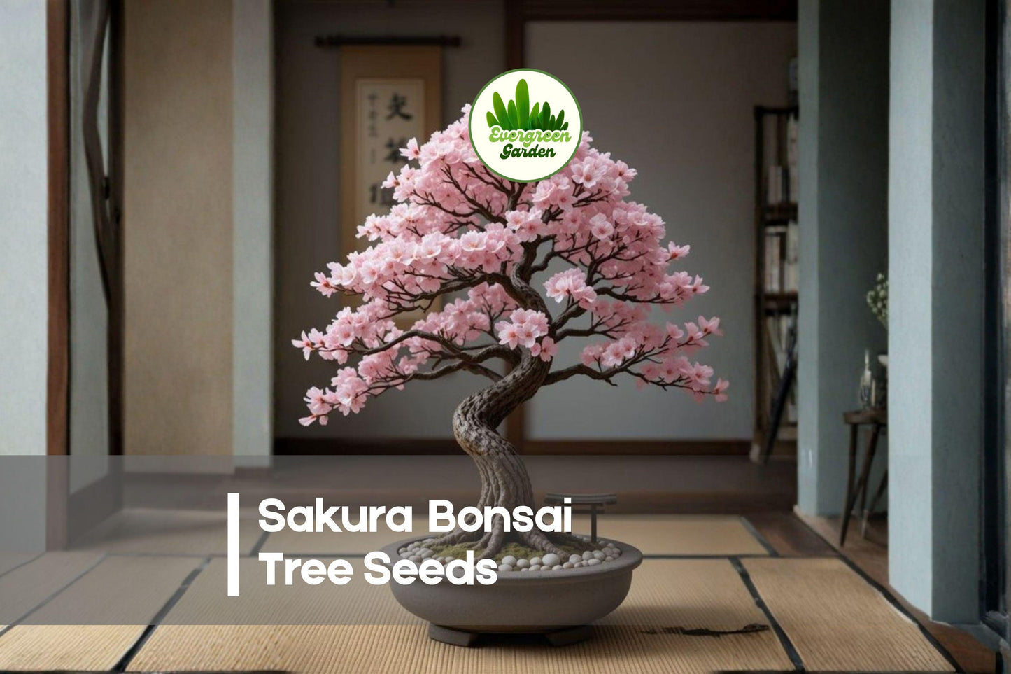 10 Sakura Bonsai Tree Seeds – Prunus serrulata Flowering Tree for Bonsai, Patio Pots & Garden Displays
