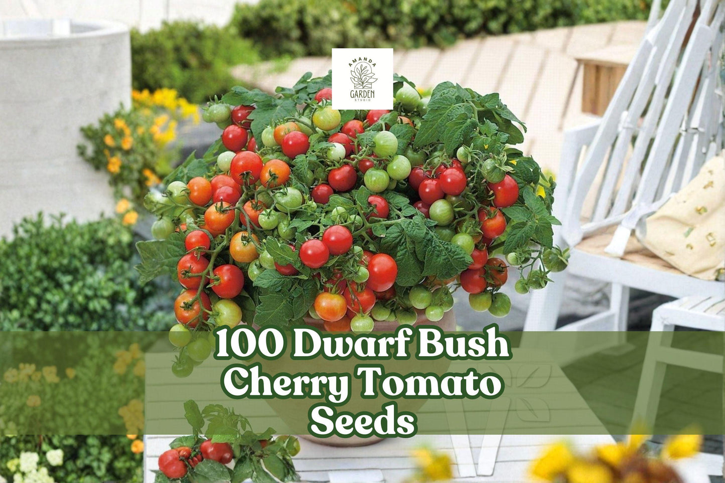 Dwarf Bush Cherry Tomato Seeds 100-Pack | Compact Solanum lycopersicum for Containers & Small Gardens