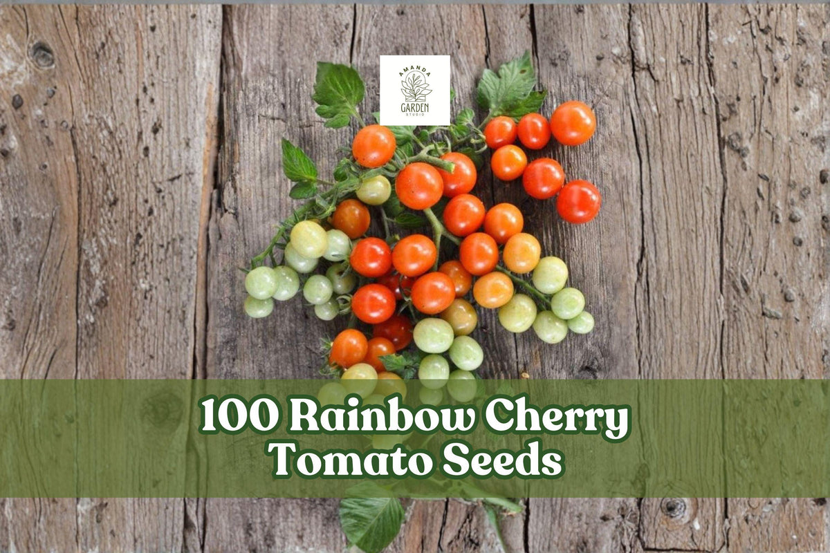 Rainbow Cherry Tomato Seeds – 100 Multicolor Solanum lycopersicum for Garden & Container Growing