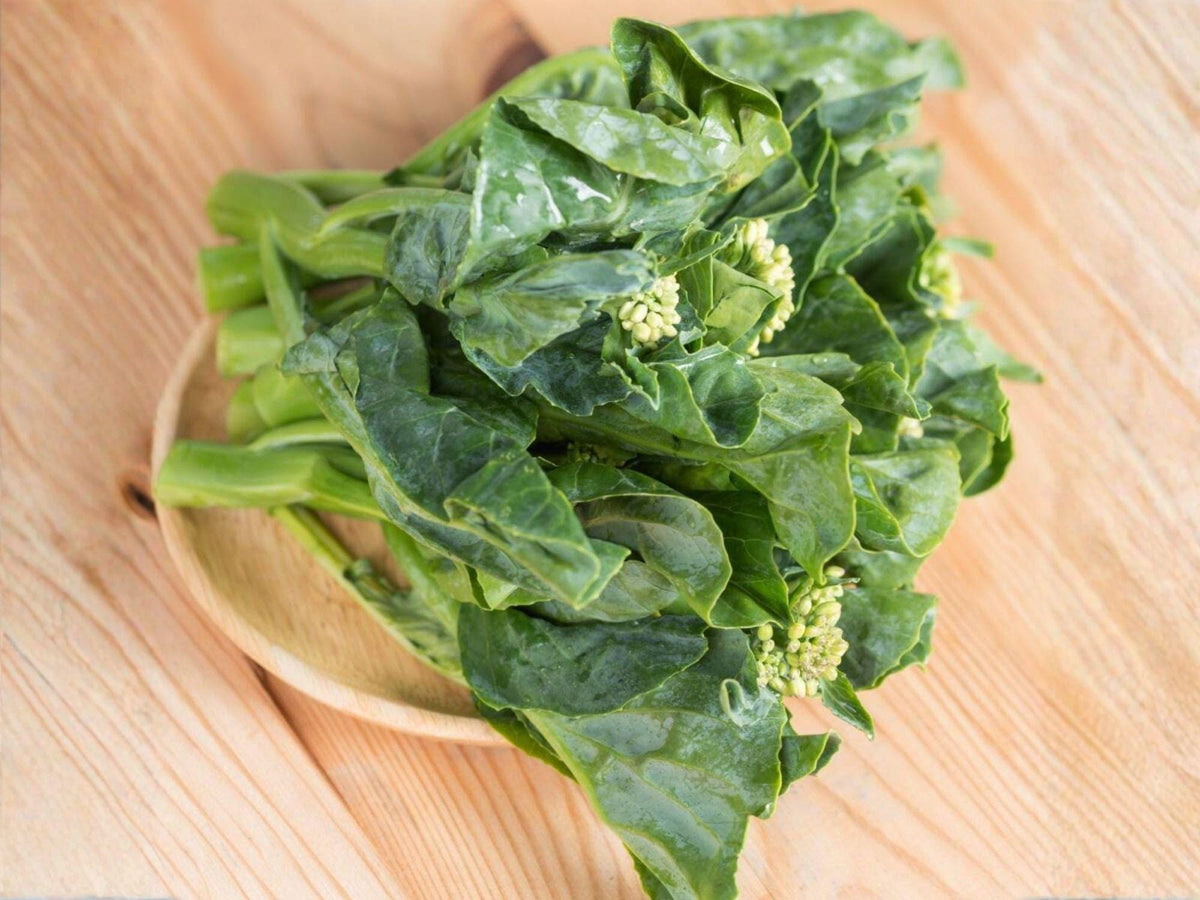 Chinese Broccoli Seeds | Kailaan Gai Lan Brassica oleracea var. alboglabra | 300 Seeds for Asian Cooking
