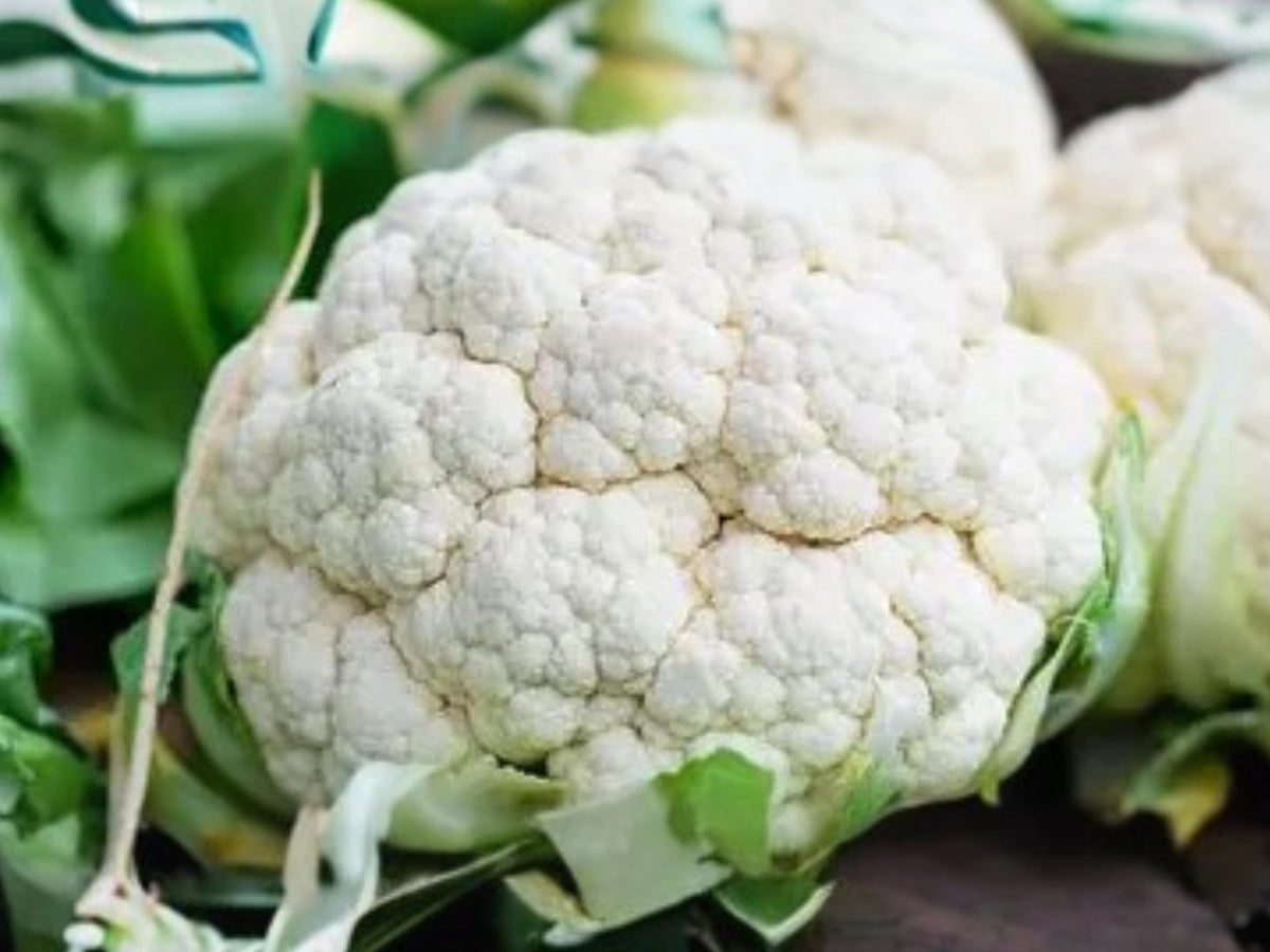 Snowball Y Improved Cauliflower Seeds – Heirloom, Compact, White Heads, 250 Seeds for Cool-Season Gardening