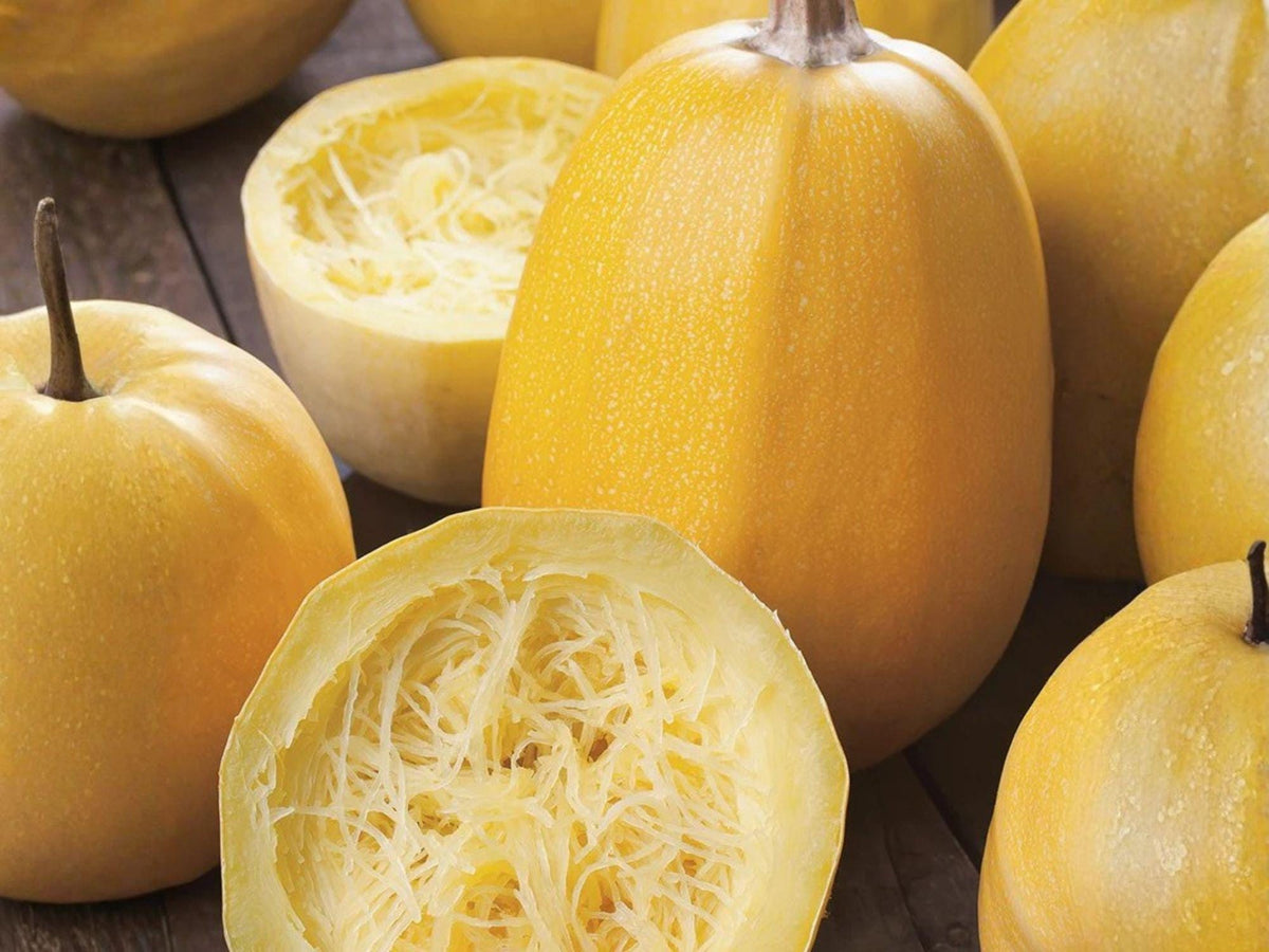 Spaghetti Winter Squash Seeds - Organic Heirloom Vegetable Seeds for Home Garden, Low-Carb Pasta Alternative, Golden-Yellow Fruits