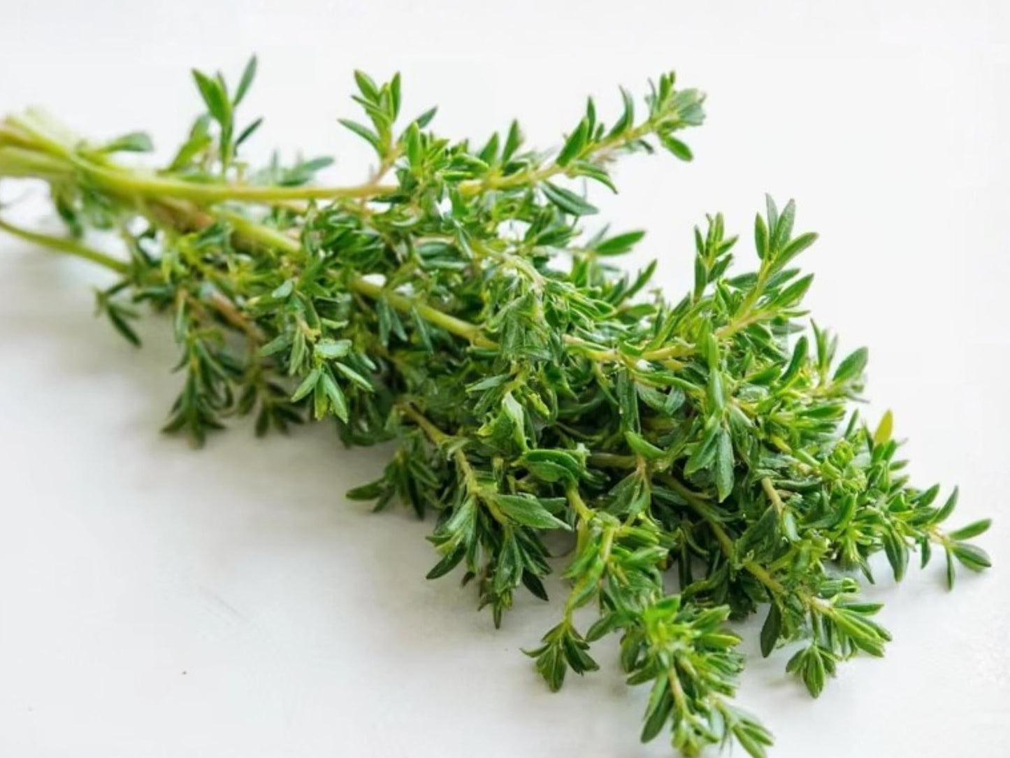 Thyme Herb Seeds – Culinary & Medicinal, Non-GMO, 300 Seeds, Easy Grow, Perennial Herb for Kitchen Gardens & Containers