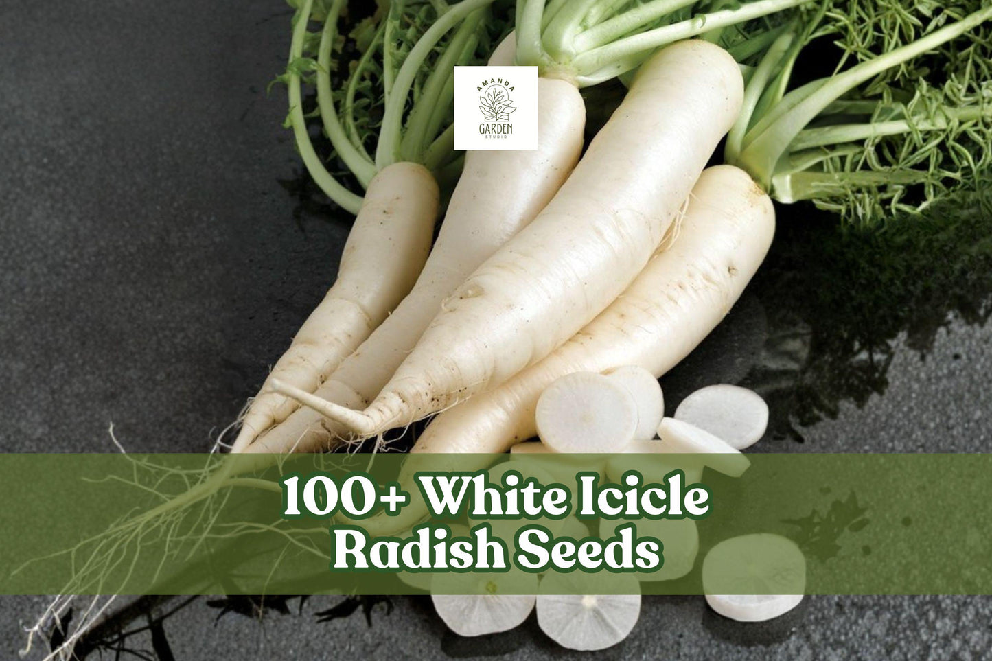 White Icicle Radish Seeds – Non-GMO Heirloom Raphanus sativus for Home Garden, Raised Beds & Containers