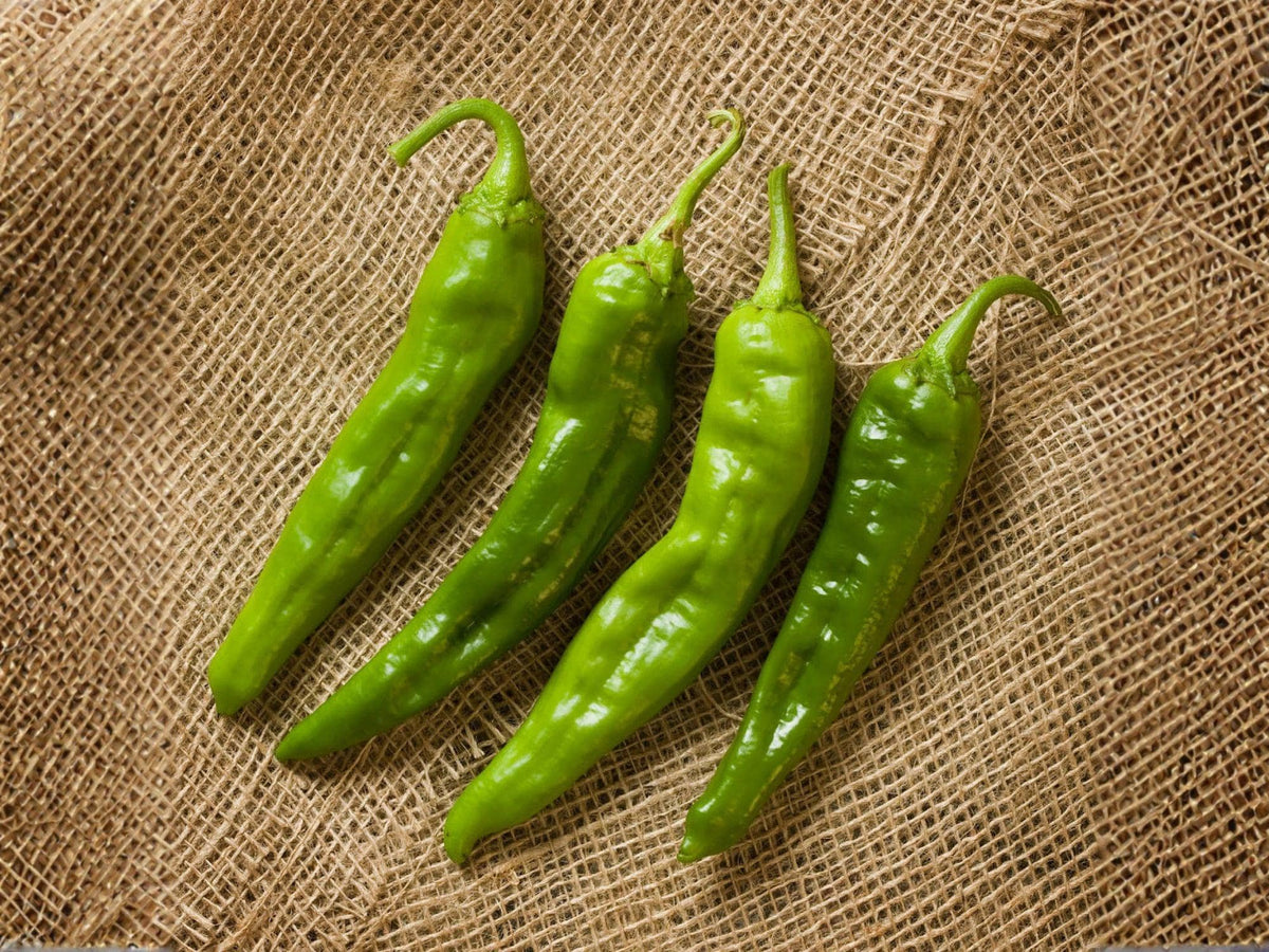 Hatch Giuzeppi Hot Chili Pepper Seeds – Heirloom, Southwestern Flavor, 25 Seeds