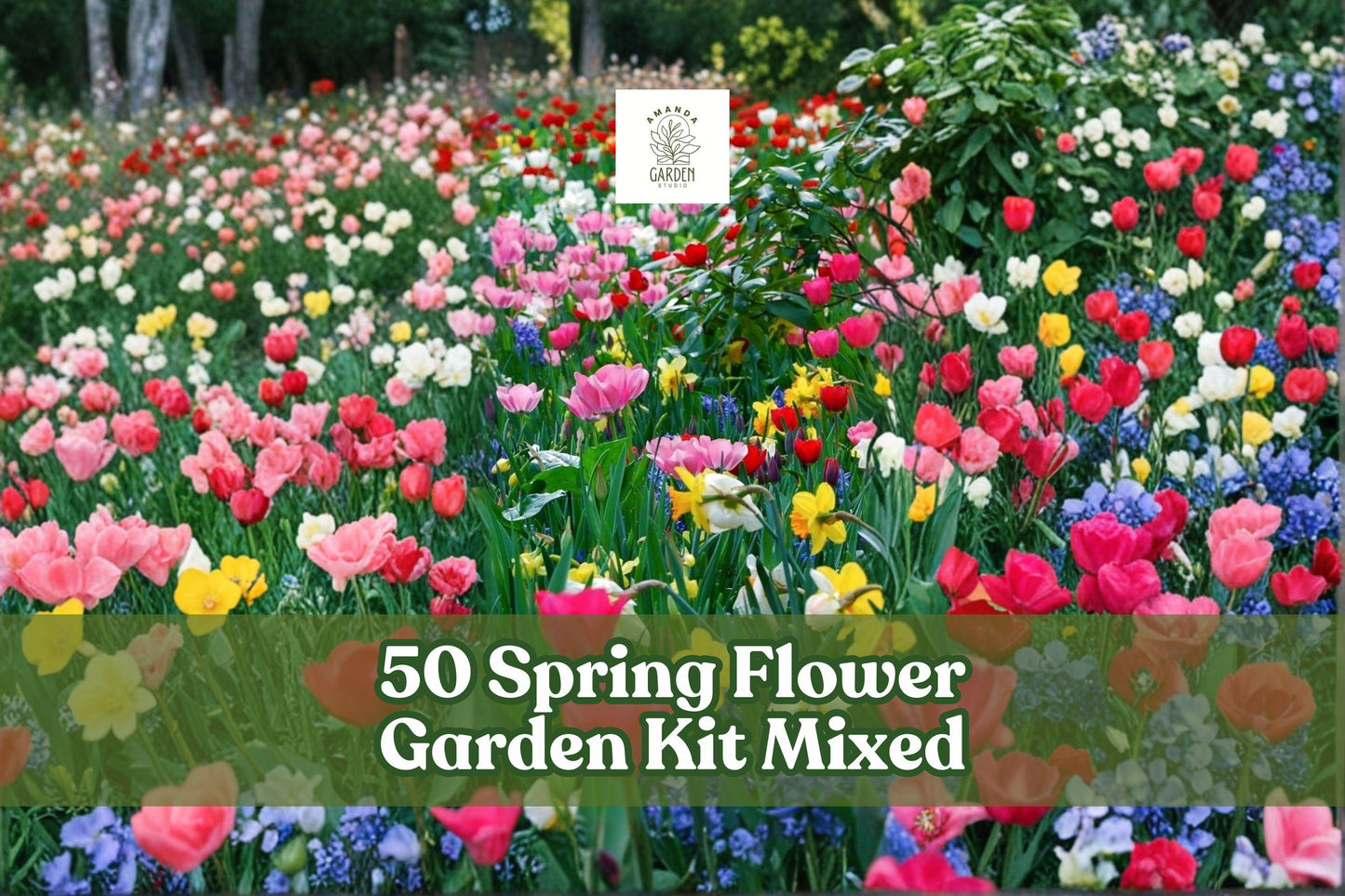 Spring Flower Garden Kit with 50 Mixed Fall Planting Bulb Collection for Colorful Spring Blooms