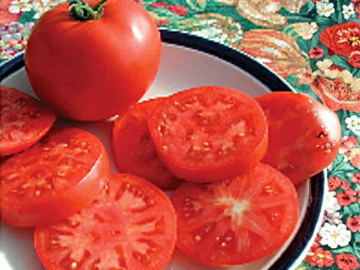 Legend Tomato Seeds – Disease Resistant, Home Garden, Vegetable Seeds, 30 Seeds, Tomato Plant, Slicing, Cooking
