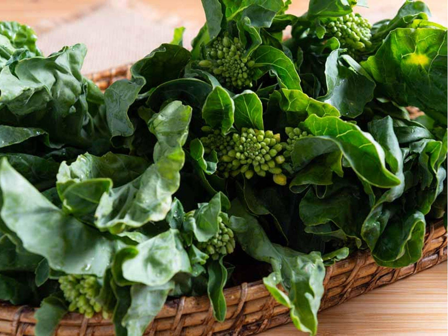 Kailaan Chinese Broccoli Seeds – 300 Open-Pollinated, Fast-Growing Asian Green for Stir-Fries & Salads